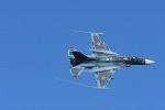 Dcim18234/DSC_4980