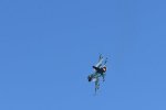Dcim18234/DSC_5002