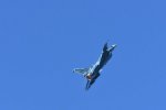 Dcim18235/DSC_5019