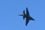 Dcim18235/DSC_5038