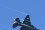 Dcim18236/DSC_5155