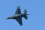 Dcim18236/DSC_5204