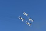Dcim18237/DSC_5289