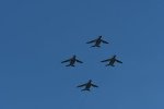 Dcim18238/DSC_5396