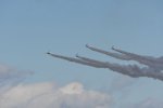 Dcim18238/DSC_5423
