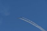 Dcim18238/DSC_5445