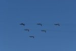 Dcim18239/DSC_5503