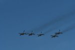 Dcim18239/DSC_5541