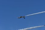 Dcim18239/DSC_5548