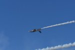 Dcim18239/DSC_5549