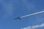 Dcim18239/DSC_5552