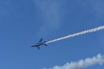 Dcim18239/DSC_5553