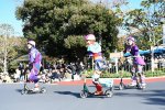 Dcim18247/DSC_6196