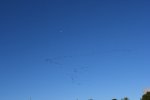 Dcim18248/DSC_6331