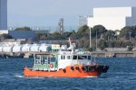 Dcim18265/DSC_4806