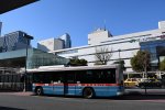 Dcim18269/DSC_8077