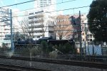 Dcim18269/DSC_8081