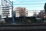 Dcim18269/DSC_8083
