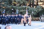 Dcim18271/DSC_8175