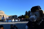 Dcim18272/DSC_8227