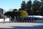 Dcim18273/DSC_8384