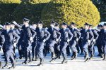 Dcim18273/DSC_8407