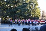 Dcim18274/DSC_8518