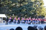 Dcim18274/DSC_8520