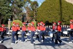 Dcim18275/DSC_8555