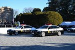 Dcim18276/DSC_8686