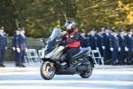 Dcim18277/DSC_8818