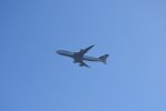 Dcim18300/DSC_0427
