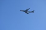 Dcim18300/DSC_0428