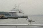 Dcim0302/Dsc_2963