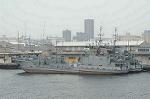 Dcim0313/Dsc_4398