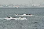 Dcim0313/Dsc_4477