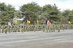 Dcim0319/Dsc_5042