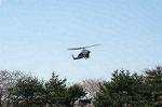 Dcim0321/Dsc_5233