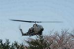 Dcim0321/Dsc_5241