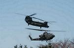 Dcim0321/Dsc_5243