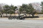 Dcim0321/Dsc_5246