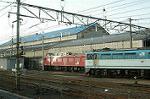 Dcim0330/Dsc_6378
