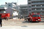 Dcim0336/Dsc_7194