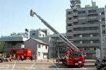 Dcim0336/Dsc_7195