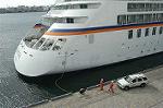 Dcim0339/Dsc_7561