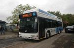 Dcim0345/Dsc_8394