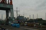 Dcim0349/Dsc_8946