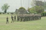Dcim0351/Dsc_8981