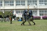 Dcim0353/Dsc_9334