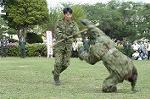 Dcim0354/Dsc_9438